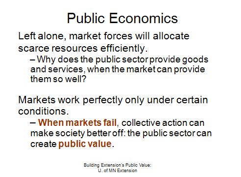 public economics